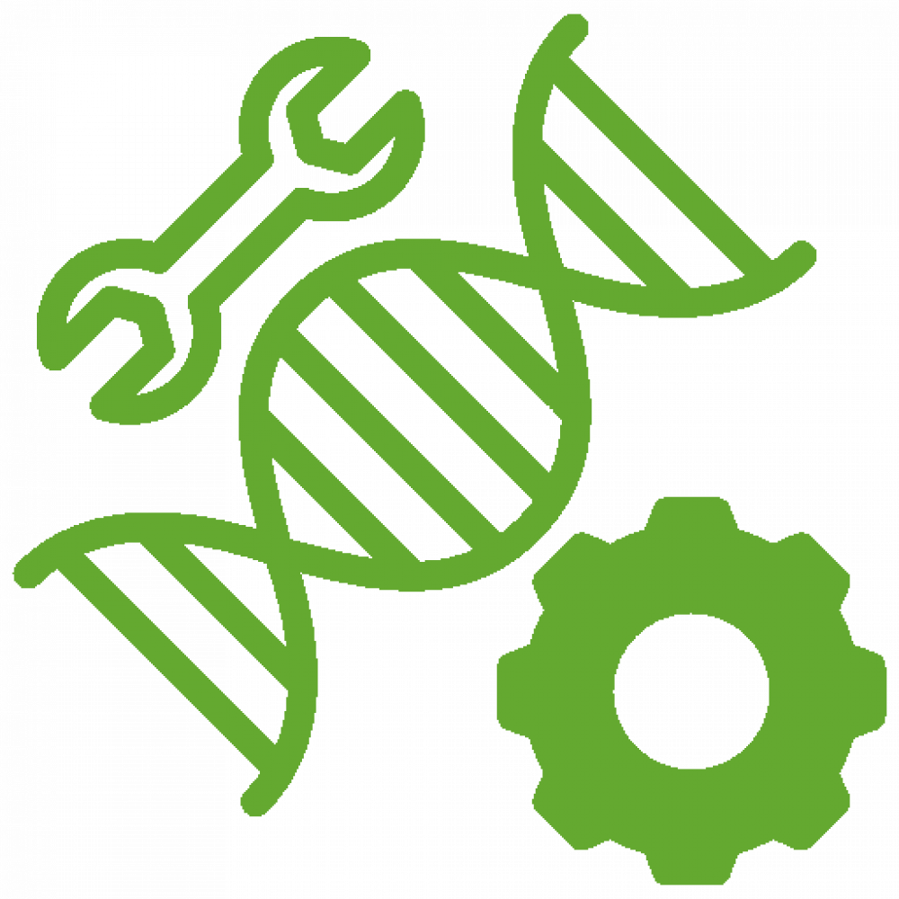 Verfahrenstechnik/Anlagenbau